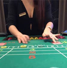 wjcasino wjcasino