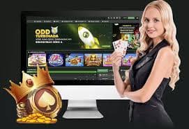 wjcasino wjcasino
